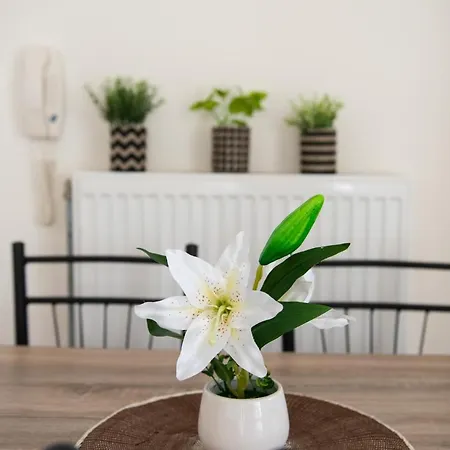 Perfect Apartment 1
